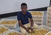 OneNote for iOS and Mac lets you attach files