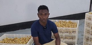 OneNote for iOS and Mac lets you attach files