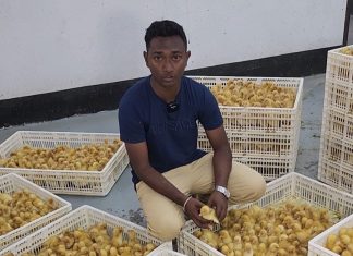 OneNote for iOS and Mac lets you attach files