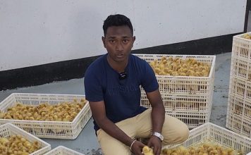 OneNote for iOS and Mac lets you attach files