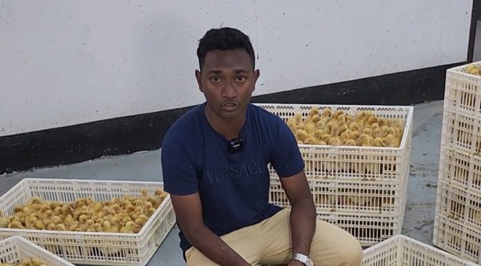 OneNote for iOS and Mac lets you attach files